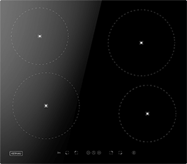 Induktionsfeld Reparatur Pirna